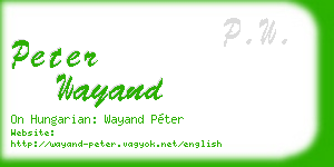 peter wayand business card